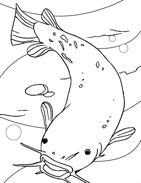 Catfish Coloring Pages - ColoringBay