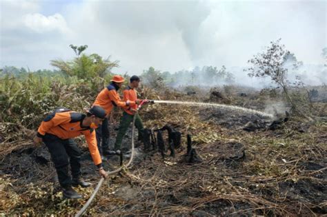 Titik Api Makin Rutin Muncul Di Muaro Jambi Gaya Hidup