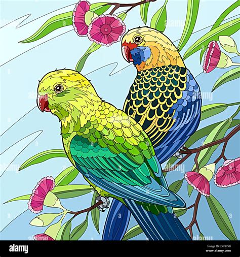 Illustration Of Two Beautiful Birds On A Tree Branch Stock Photo Alamy