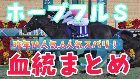 競馬血統まとめ【ホープフルs（gⅠ）2023】の順位予想