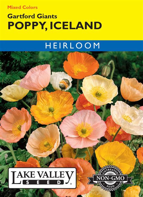 Poppy Iceland Gartfords Mixed Colors - Item #248 - Lake Valley Seed