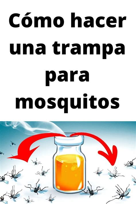 Cómo hacer una trampa para mosquitos Trampa para mosquitos Repelente