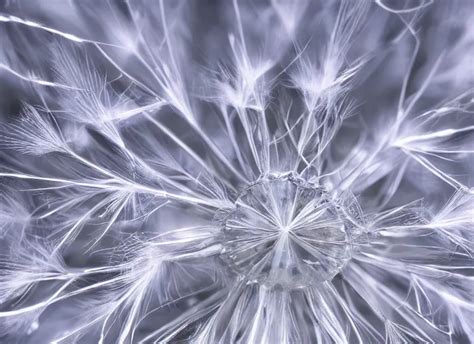 Crystal Dandelion Extreme Close Up Unreal Engine 4 Stable Diffusion