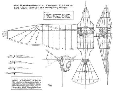 Ornithopter Plan