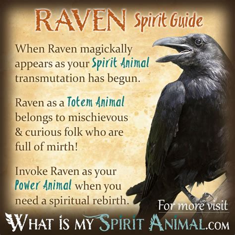 Raven Symbolism & Meaning | Raven Spirit, Totem, & Power Animal