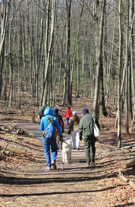 Happy Trails And Wagging Tails In Cumru Township Reading Eagle