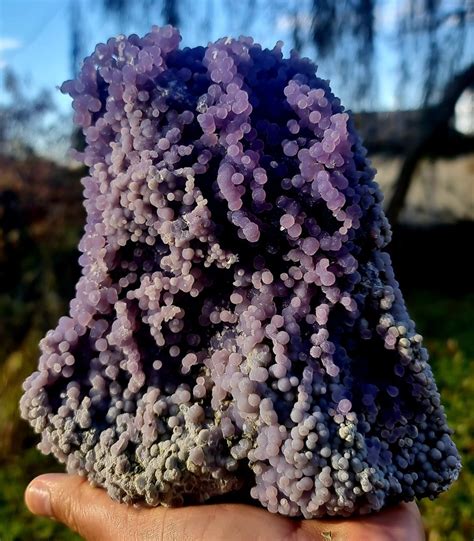 Splendida Agata Calcedonio Uva Lamentosa Cristallo Su Matrice Altezza