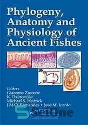 خرید و قیمت دانلود کتاب Phylogeny anatomy and physiology of ancient