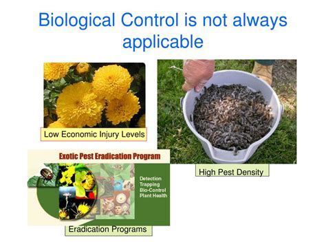 Ppt Biological Control Principles Powerpoint Presentation Free