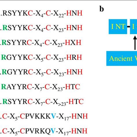 (PDF) WRKY transcription factors: evolution, binding, and action