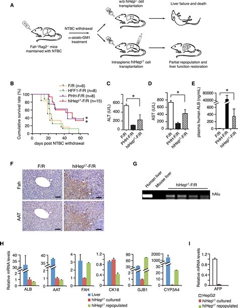 Direct Reprogramming Of Human Fibroblasts To Functional And Expandable