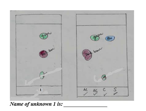 Thin Layer Chromatography Of Analgesics Chegg