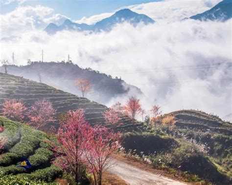 Sapa Weather In April: Your Ultimate Guide To Packing And Planning