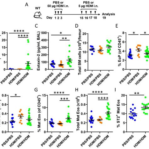 Il 33 Responsive Type 2 Innate Lymphoid Cells Ilc2s During Download Scientific Diagram