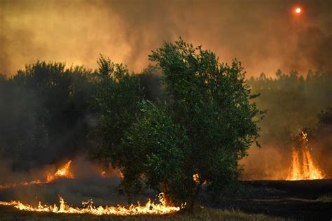 Catastrophe Feux De Forêt Le Portugal En Alerte Avant Un Week End à