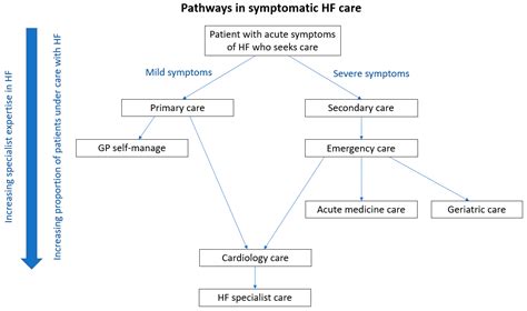 Jcdd Free Full Text A Critical Evaluation Of Patient Pathways And