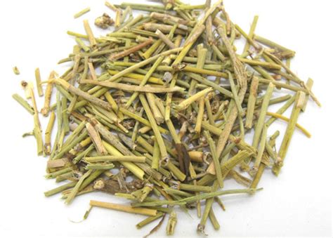 Ma Huang - TCM Herbs - TCM Wiki