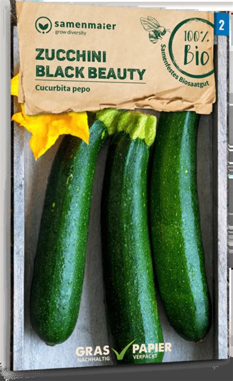 Samen Maier Bio Zucchini Black Beauty 1 Packung Bloomling Deutschland