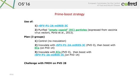 A Prime Boost Vaccination Strategy In Cattle To Prevent Serotype O Fmdv