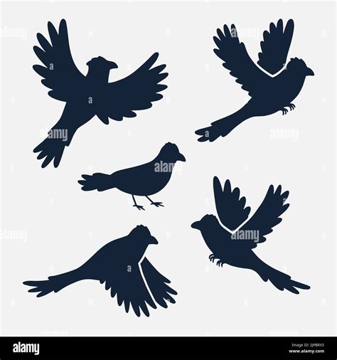 Hand Drawn Animals Silhouette Crow Bird Set Vector Illustration Stock