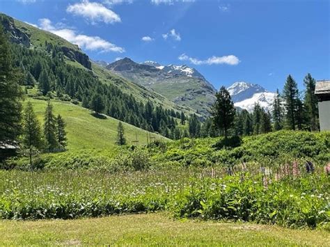 Chesa Klucker Historisches Haus Im Fextal Engadin Und St Moritz