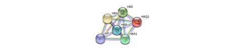 HBB Gene - GeneCards | HBB Protein | HBB Antibody