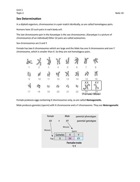 Sex Determination Alevel Biology Notes Topic 2 Note 10 Sex