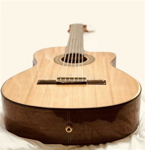 Cutaway Classical Acoustic Guitar//whole Body/Isol Stock Image - Image ...