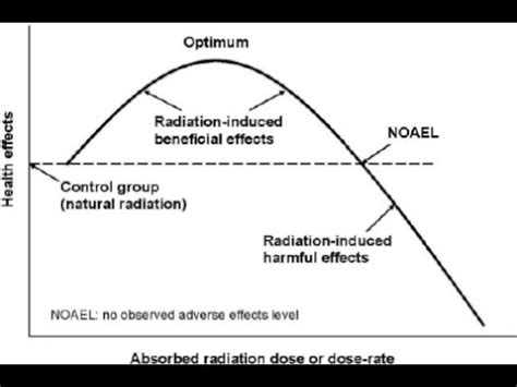 No Observed Adverse Effect Level Noael In Toxicology Youtube