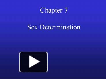 PPT Sex Determination PowerPoint Presentation Free To View Id