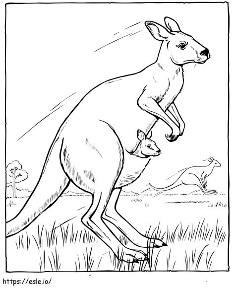 Three Kangaroos In Australia Coloring Page