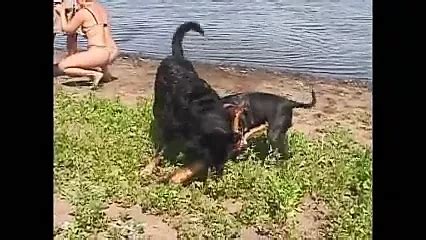 2 casais alemães safados fazendo hardcore na beira do rio xHamster BR