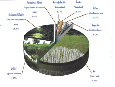 Precision Agriculture For Rice Production In Thailand