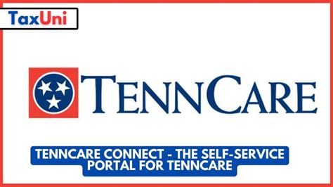 Tenncare Connect The Self Service Portal For Tenncare