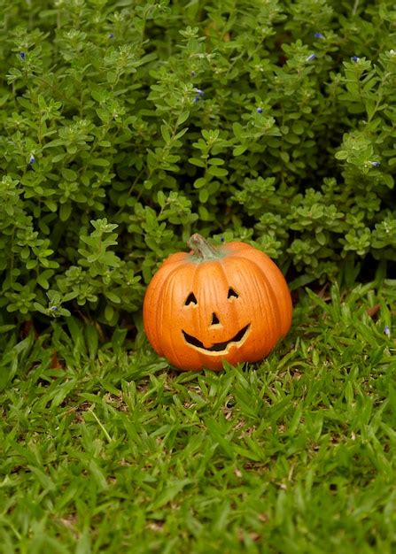 Premium Photo Single Pumpkin On Green Grass