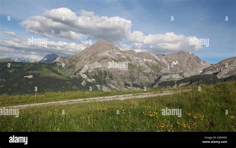 Summer day in the Swiss Alps Stock Photo - Alamy