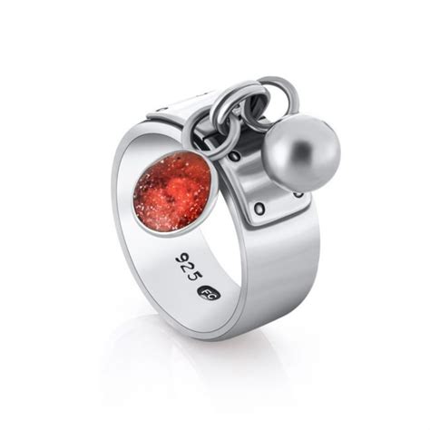 Pet Ashes into Diamonds | How to create the eternal bond