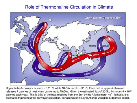 PPT - Thermohaline Circulation PowerPoint Presentation, free download ...