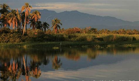 Preparan elaboración de La biodiversidad de Guerrero Estudio de