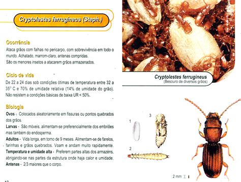 MANUAL DE PRAGAS Bytech