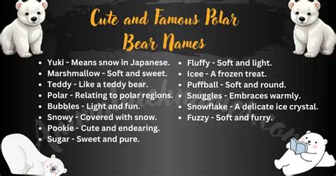 Top 450+ Catchy & Trendy Polar Bear Names [Perfect Ideas]