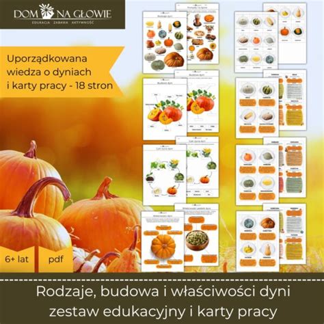 Dodawanie i odejmowanie w zakresie 10 pdf Dom na głowie