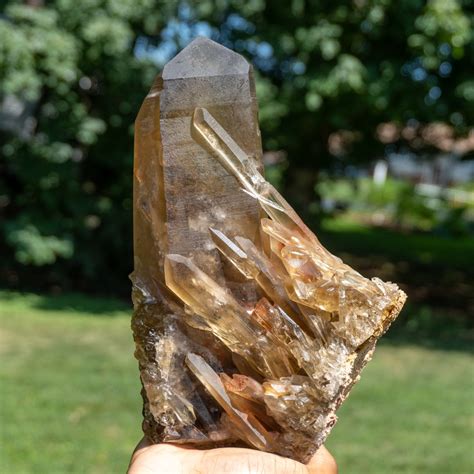 Large Natural Raw Citrine Cluster #1 - The Crystal Council