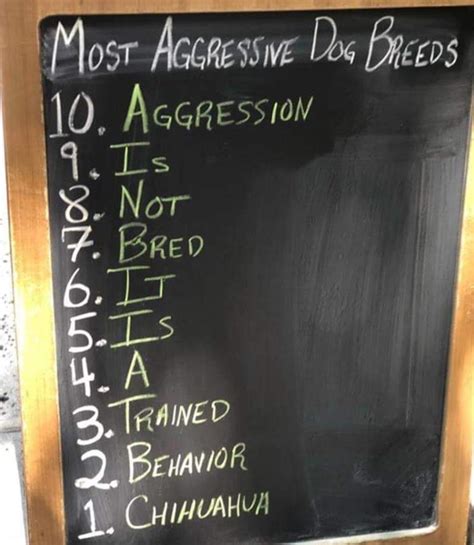 best dog aggressive fast 4