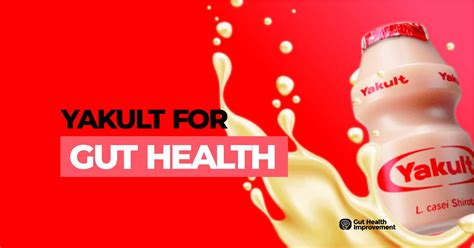 Yakult For Gut Health 2024 Guide