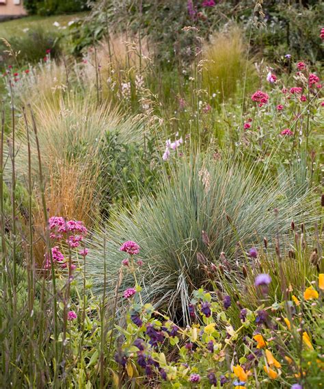 Chalky soil: how to make the most of it in your backyard | Gardeningetc