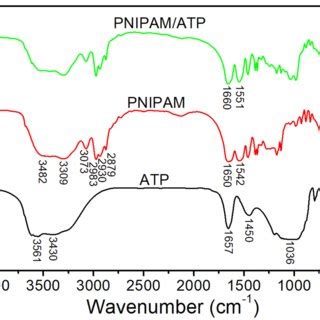 SEM Images Of A Pure ATP And B The Prepared PNIPAM ATP Nanocomposites