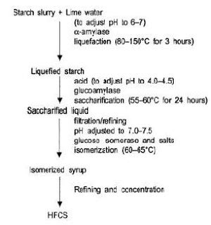 PROCESSING OF FOOD: High Fructose Corn Syrup