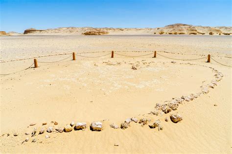 Egypts Whale Valley What Wadi Al Hitan Can Teach Us