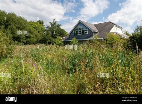 Parc Slip Nature Reserve Stock Photo Alamy